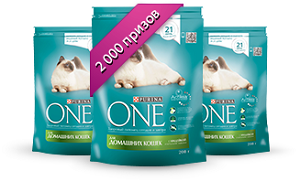 Получите корм Purina ONE® в подарок