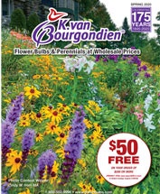 Бесплатный каталог для садоводов