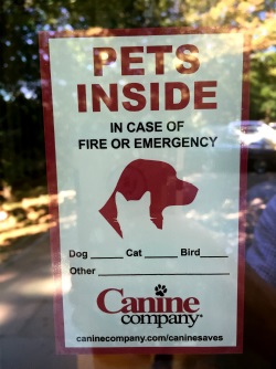 Бесплатная наклейка от caninecompany.com