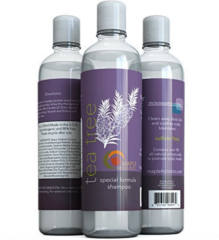 Бесплатные образцы шампуня Maple Holistics