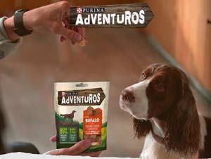 Бесплатный образец корма для собак Purina Adventuros