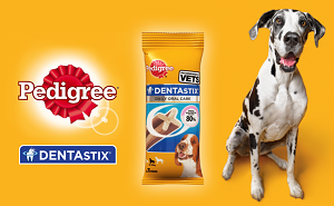 Палочки Pedigree Dentastix