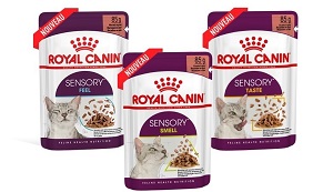 Бесплатный корм Royal Canin Sensory