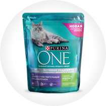 Тестирование корма Purina One для кошек